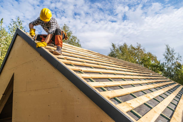 Best Metal Roofing Contractor  in Lincolnia, VA
