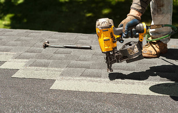 Roof Gutter Cleaning in Lincolnia, VA